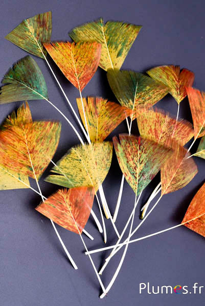 Blütenblätter aus Federn - 6-8 cm x 3-4 cm - Herbst